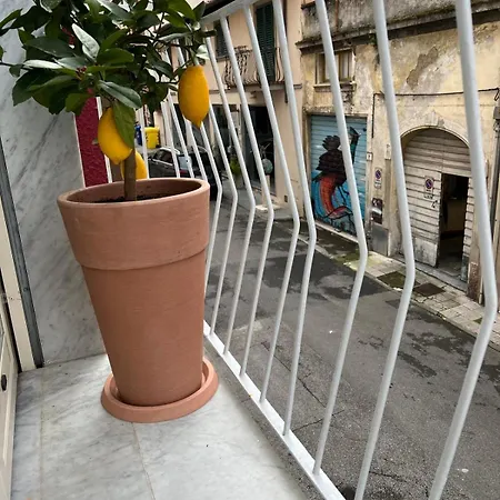 Lejlighed Loftino28 Pietrasanta